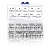 10 Values 100pcs Fast blow Glass Fuses Assortment Kit 5x20mm 250V, Household Mains Plug Fuse Domestic Mains Plug Top Fuses 0.5 1 2 3 5 6 8 10 15 20A Packag in a Clear Plastic Box