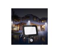 (10 Watts) LED Cool White Floodlight Outside Light 10W-100W