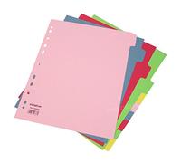 10 x 10 Part A4+ Extra Wide Ring Binder File Index Dividers