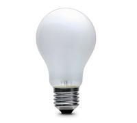 10 X 100watt ES E27 Screw Cap Pearl Rough Service