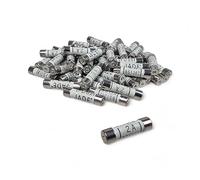 10 x 2A Fuses Household Electrical Ceramic Domestic 2 Amp Mains Fuse for Plugs