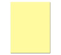 10 x A3 240gsm Colored Card Stock Pack of 10 Sheets (Pastel Yellow)