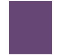 10 x A3 240gsm Colored Card Stock Pack of 10 Sheets (Purple)