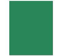 10 x A3 240gsm Colored Card Stock Pack of 10 Sheets (Xmas Green)