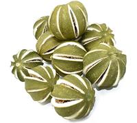 10 x Dried Green Orange Whole Fruit - Christmas Craft Wreath Florist Decoration