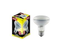 10 X Eveready R80 100W Es Reflector Light Bulbs