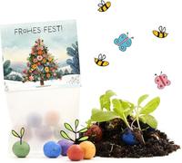 10 x Flower Marbles "Frohes Fest" | Small Gift & Sustainable Party Bag for Christmas | Seed Bombs for Colleagues, Guests & Children | Small Item for Advent, Advent Calendar Filling or Santa Claus