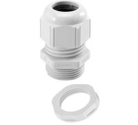 10 x Lapp 53111420 Skintop Cable M20 x1.5 RAL 7035 Light Grey m20 glands nut