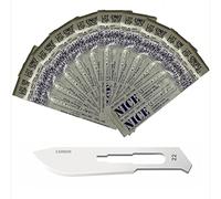 10 x NICE No.22 Sterile Carbon Steel CS22 Surgical Blades
