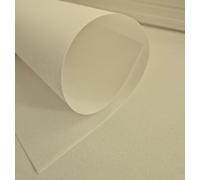 10 x Parchment Vellum Extra Heavyweight A4 220gsm in White or Cream (Cream)