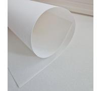 10 x Parchment Vellum Extra Heavyweight A4 220gsm in White or Cream (White)
