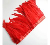 10 Yards Rooster Tail Feathers Trims for DIY Handicrafts, 25-30cm Feather Fringes for Clothes or Carnival Accessories-Red-2 Yards