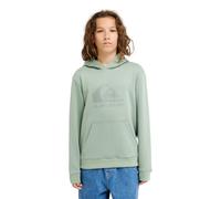 (10 Yrs, Iceberg Green) Quiksilver Kids Comp Logo Pullover Hoodie