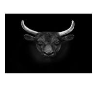 100(45.5x35.5cm)-piece Adult Puzzle: Night Cow Head - Horns and the Gaze of a Silent Animal Puzzle