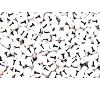 100 7mm White Flat Round Letter Alphabet Acrylic Beads Single Letters & Mixed (T)