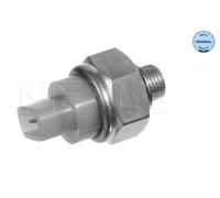 MEYLE 100 919 0027 Sensor, coolant temperature