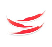 100% Accuri 2 Forecast Youth Mudflap