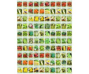 100 Assorted Heirloom Vegetable Seeds 100 Non-gMO 100 Deluxe Assorted Vegetable Seeds