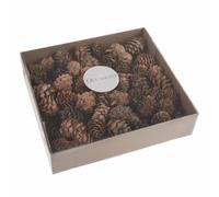 100 Bulk Box 3-5 cm Natural Pine Cones in Clear tub