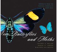 100 Butterflies and Moths - Portraits from the Tropical Forests of Costa Rica