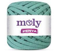 100% Combed Cotton T-Shirt Yarn | 250g 90m | Fabric Yarn for Crochet & Knitting | Bags, Baskets, Rugs, Cushions, Poufs & DIY Home Decor (1014 Pastel Mint)