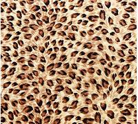 100% Cotton Poplin Fabric - Animal Leopard Print on Tan - Craft Fabric Material by The Metre (CP0880TAN)