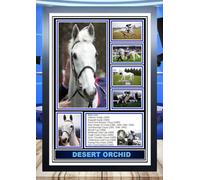 (100) Desert Orchid Horse Racing Legend Signed Framed Autograph Signature A4 (21 X 297 CM) Art Work Wall Art Display Great Gift Idea (REPRINT) #####
