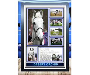 (100) Desert Orchid Horse Racing Legend Signed Framed Autograph Signature A4 (21 X 297 CM) Art Work Wall Art Display Great Gift Idea (REPRINT) #####