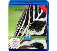 100 Destinations Reisefilm: Afrika Kenia [DVD]