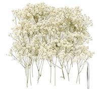 100 Dried Gypsophila Flowers, Baby Breath Artificial Flowers for Vase Arrangements and Craft Projects, Natural Looking Dried Flowers in Six to Eight and Ten to Fifteen Centimetre Lengths