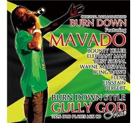 100% DUB PLATES MIX CD BURN DOWN STYLE -GULLY GOD MIX-