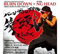 100% DUB PLATES MIX CD BURN DOWN STYLE -•M“ª MIX-