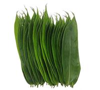 100 Fresh Sheets Vacuum Packed Bamboo Leaves，Natural Wild Bamboo Leaf Sushi Cuisine Barbecue Decoration Zongzi Material - M Size