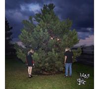 100 gecs 1 ecs (Vinyl) (US IMPORT)