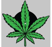 100 Gecs Snake Eyes 10 Inch Vinyl NEW