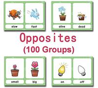 100 Groups English Antonyms Flashcards for Kids|Educational Learning Pocket Word Cards|Perfect for Kindergarten/Teacher/Autism Therapists Tools