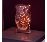 Festive Productions 100 LED Battery String Lights : Timer : Multicoloured