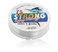 100 Meters Fishing Line, 0.45mm Strong Fishing Wire 41LB Clear Monofilament Wire String Transparent Sewing Thread Invisible Nylon Threads for Jewellery Beading Making Hanging Decorations
