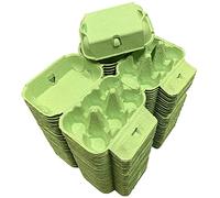 100 Mint Green Egg Boxes - Luxurious Smooth Lid half dozen Coloured Cartons