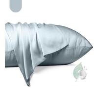 100% Mulberry Silk Pillowcase 2 Pack,Queen Size Silk Pillow Cases for Hair and Skin,Silky Smooth Bed Pillow Cover with Hidden Zipper,Natural Silk Pillow Case Set of 2 (Ash Blue, Queen 20X30)