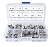 100 Pack 10 Values Fast-Blow Glass Fuse Assortment Kit, 250V 0.2A 0.5A 1A 2A 3A 5A 8A 10A 15A 20A Glass Tube Fuses Mini Fuse, 5x20mm Fuses, Packag in a Clear Plastic Box, for Household Appliances, B