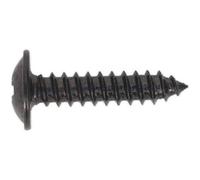 100 Pack 4.2 X 19mm Self Tapping Black Screw - Flanged Pozi Head - Fixings Screw