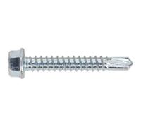 100 PACK 5.5 x 38mm Self Drilling Hex Head Screw - Zinc Plated Fixings Screw