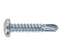 100 Pack Zinc Plated Self Drilling Phillips Screws 4.8 X 25mm - Essential Fixings For Diy Projects