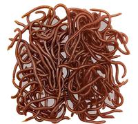 100 Pcs 3.3inch Soft Worms Fishing Lure Baits, Earthworm Baits Lifelike Fake Bloodworm, Fresh Water Fishing Bait, Brown