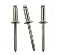 100 Pcs 316 Countersunk Stainless Steel Blind Rivets, 2.4mm Open End Pop Rivets for Marine Boat, Auto Repair, Sheet Metal(2.4x10mm)