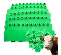 100 PCS Blank Cattle Ear Tags Large Plastic Precision Animal Identification Blank Livestock Ear Tags for Cows, Horses, Dogs, Pigs and Goats Farm Management Green 100pcs
