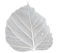 100 Pcs Bodhi Leaf Translucent Leaves Pho Bodhi Tree Veined Leaf Natural Laced Leaves Scrapbooking Craft Card Wedding (4.5-5.4 in. Natural Color)
