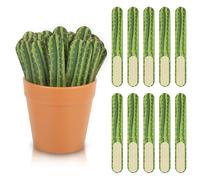 100 Pcs Cactus Flip Name Sticks with Plastic Pot, Flip Name Counting Sticks Teacher Classroom Supplies for Classroom Management Student Grouping Attendance Educational and Learning
