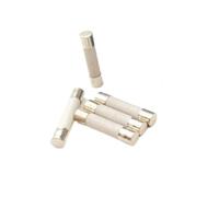100 PCS Carton,Ceramic Fuse Tube,Fast Blow Tube Fuses,5 * 20mm 6 * 30mm,250V,0.5/1/2/3/4/5/6/8/10/15/20/25/30A(6A,100pcs 5x20)